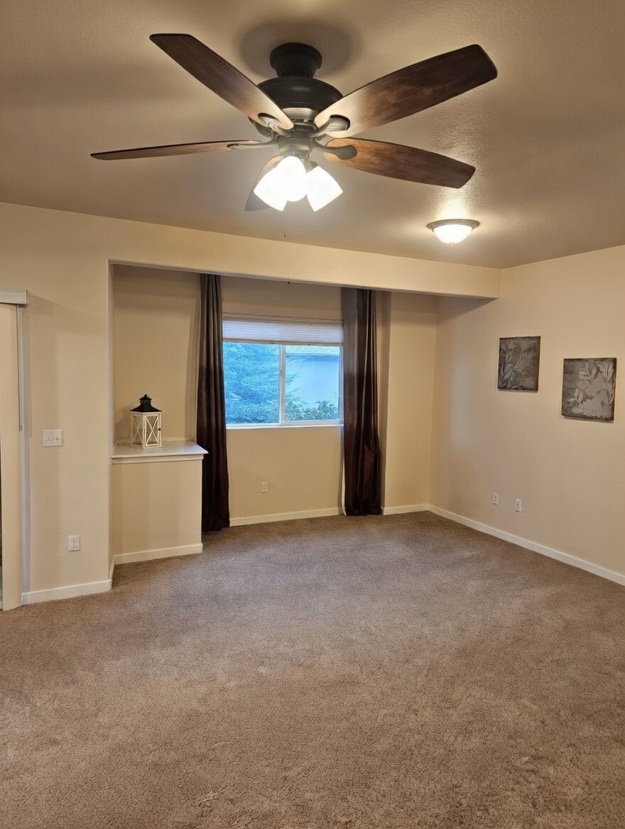 Ceiling fan and light Colorado Springs